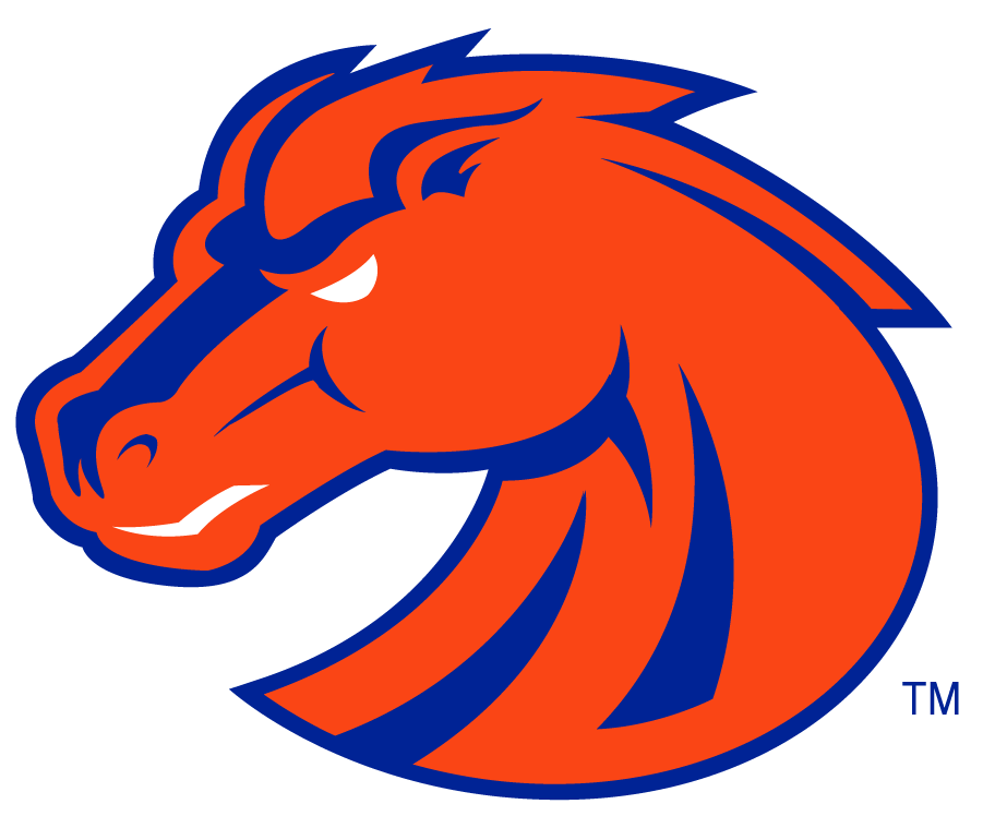 Boise State Broncos 2002-2012 Secondary Logo v4 DIY iron on transfer (heat transfer)